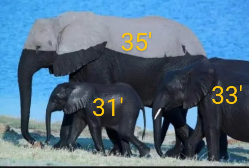 вороний камень светлогорск история. Смотреть фото вороний камень светлогорск история. Смотреть картинку вороний камень светлогорск история. Картинка про вороний камень светлогорск история. Фото вороний камень светлогорск история вороний камень светлогорск история. Смотреть фото вороний камень светлогорск история. Смотреть картинку вороний камень светлогорск история. Картинка про вороний камень светлогорск история. Фото вороний камень светлогорск история