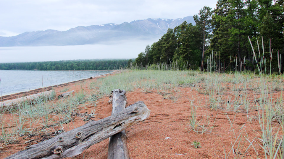 Не правда ли… — Mitsubishi Pajero (4G)