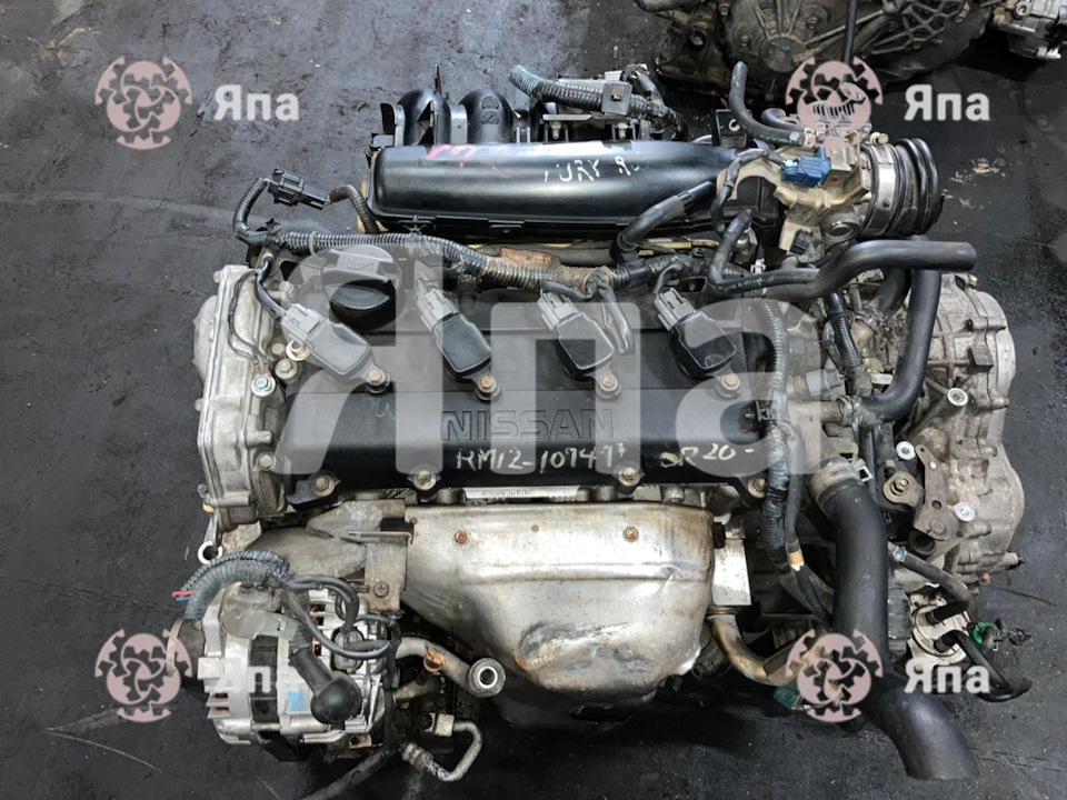 Двигатель QR20DE Ниссан Теана J31 — Япа на DRIVE2