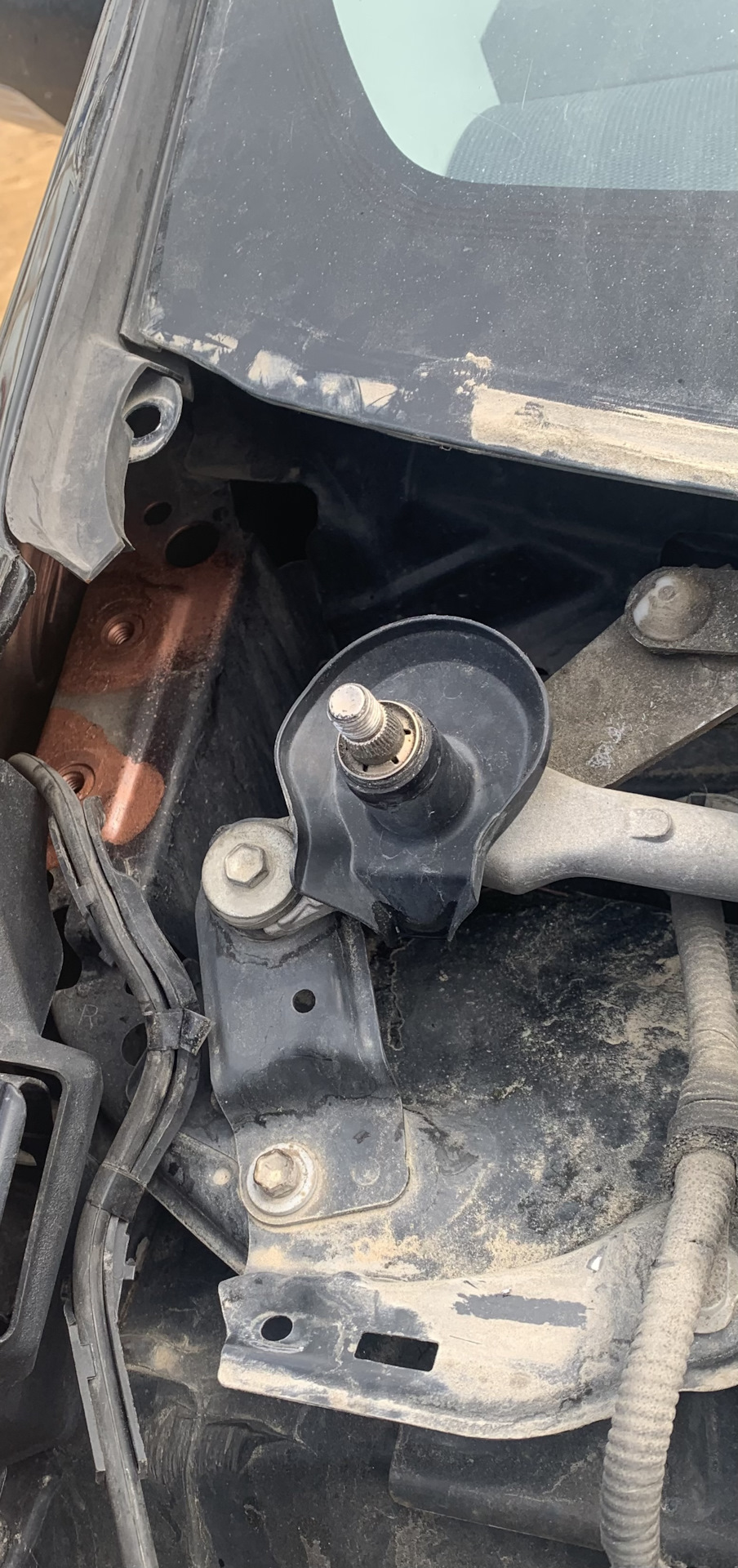 Маленькая неприятность с петлей капота — Toyota Prius (30), 1,8 л, 2012 ...