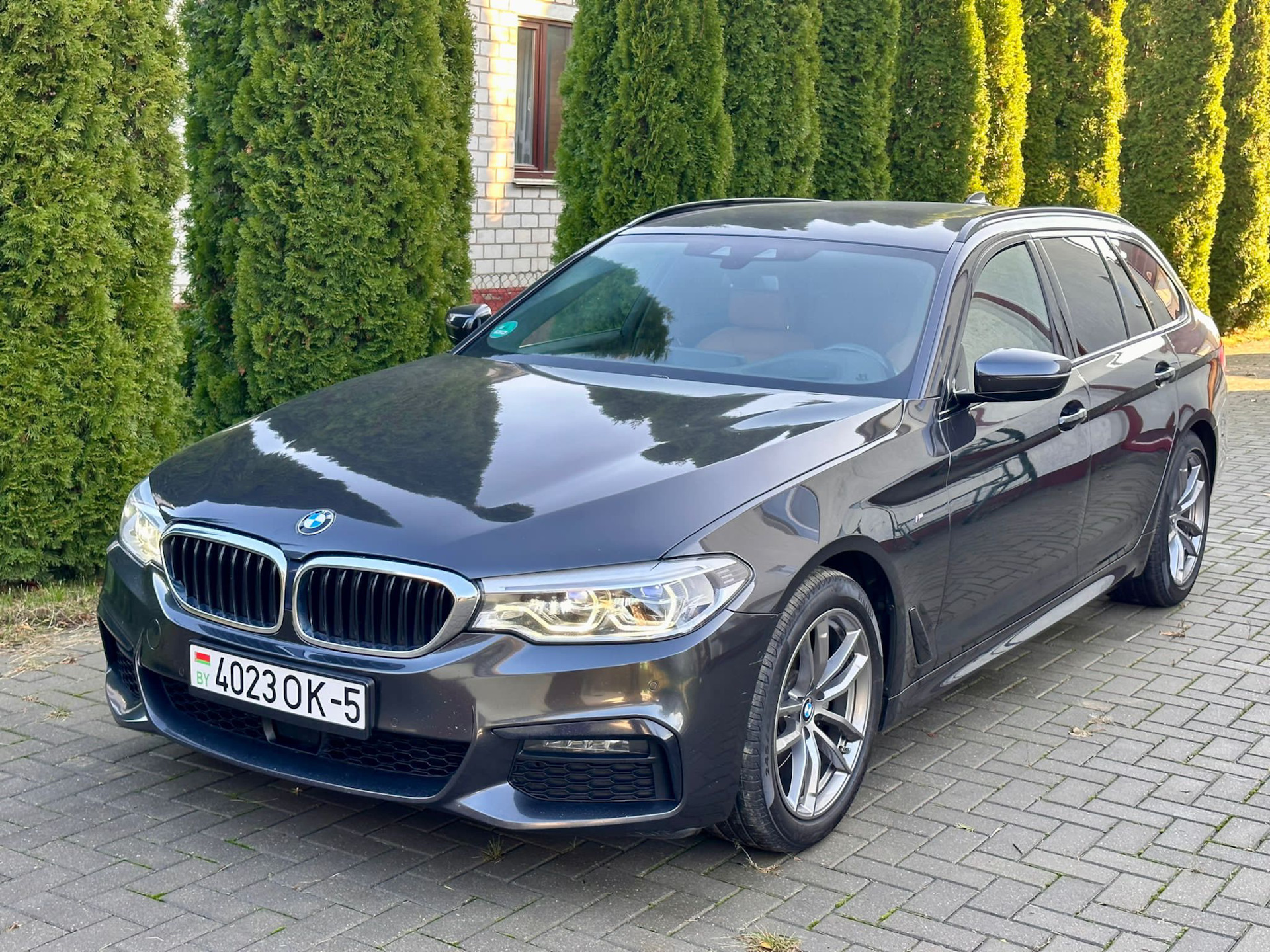 Муки выбора и покупка 🍯 — BMW 5 series Touring (G31), 2 л, 2019 года |  покупка машины | DRIVE2