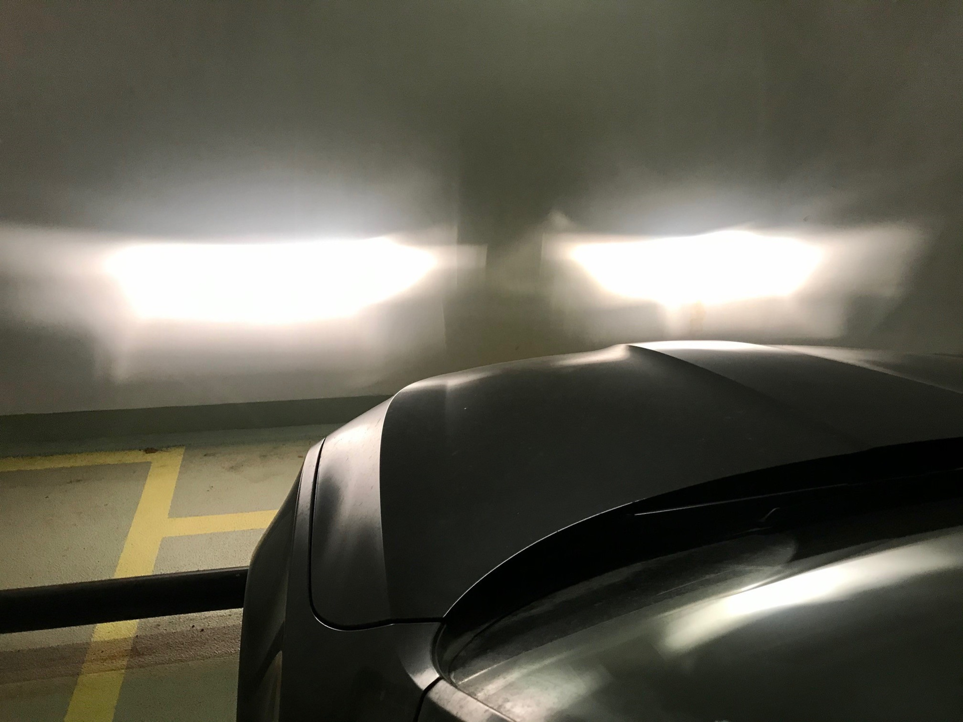 Лампы Cartage H7 55 Вт Octavia A7 FL — Skoda Octavia A7 Mk3, 1,4 л ...