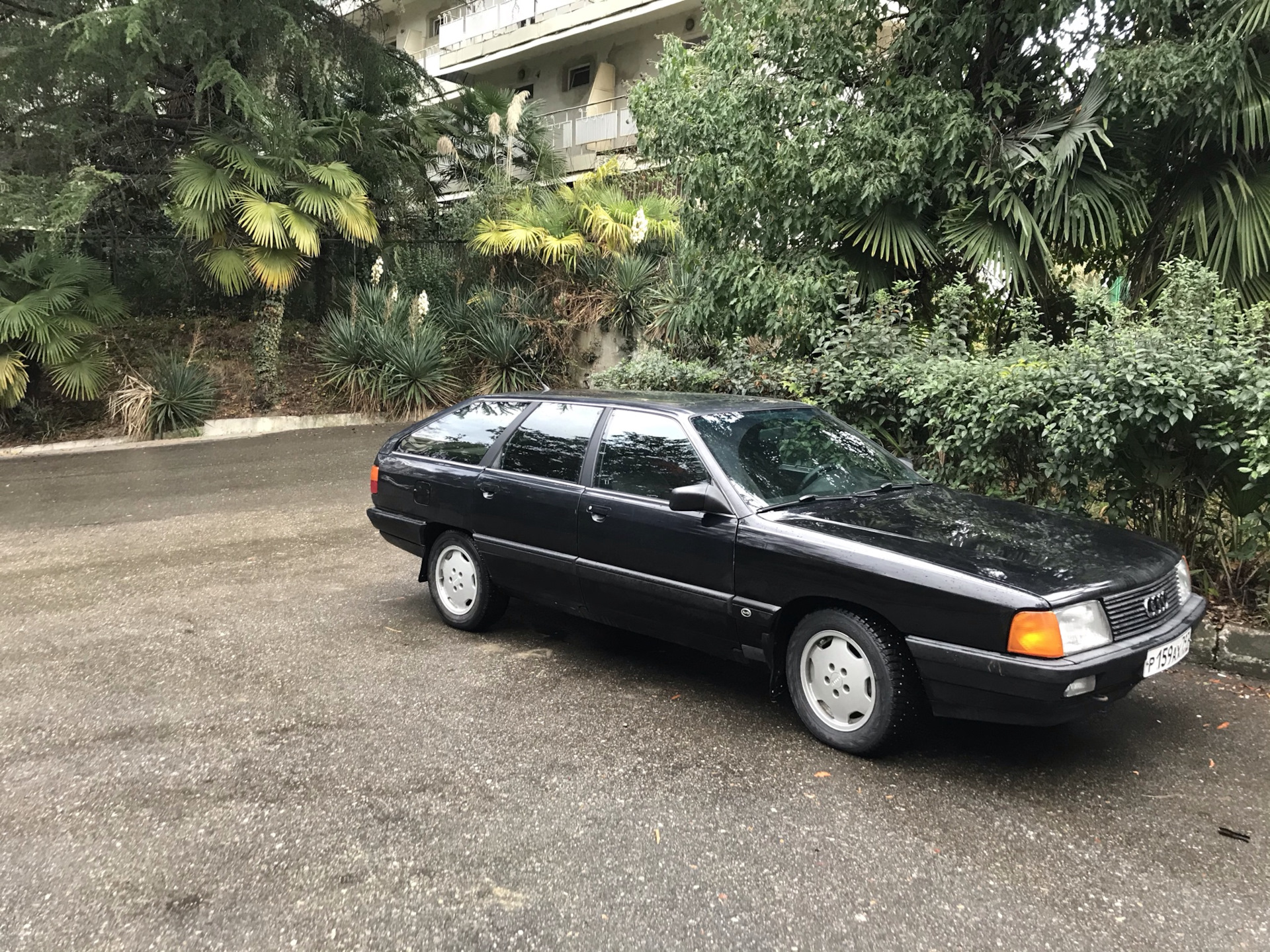 4000 км на Ауди 100 из Москвы в Адлер — Audi 100 Avant (C3), 2,2 л, 1989  года | путешествие | DRIVE2