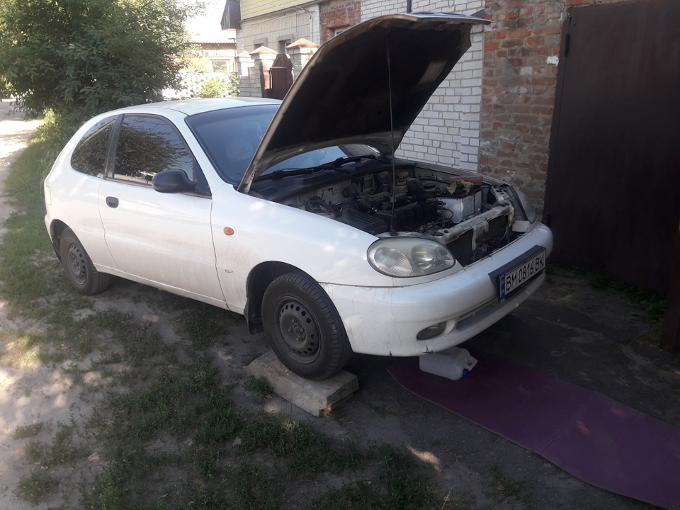 Замена масла без ямы — Daewoo Lanos, 1,5 л, 1998 года | своими руками ...