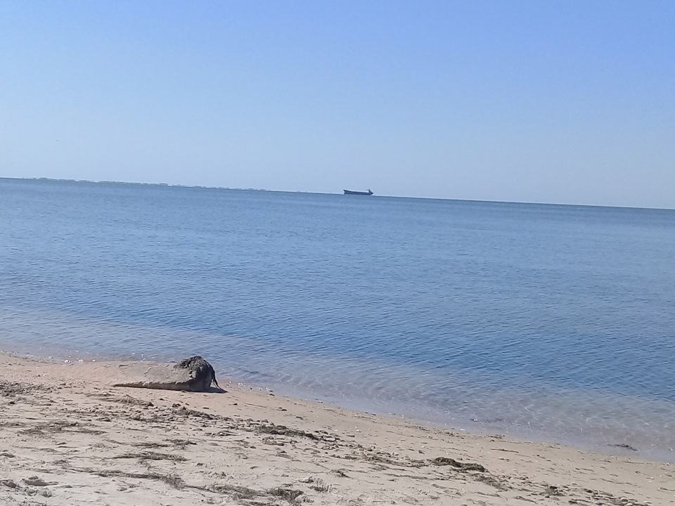 Фото в бортжурнале Chevrolet Aveo Sedan (1G)