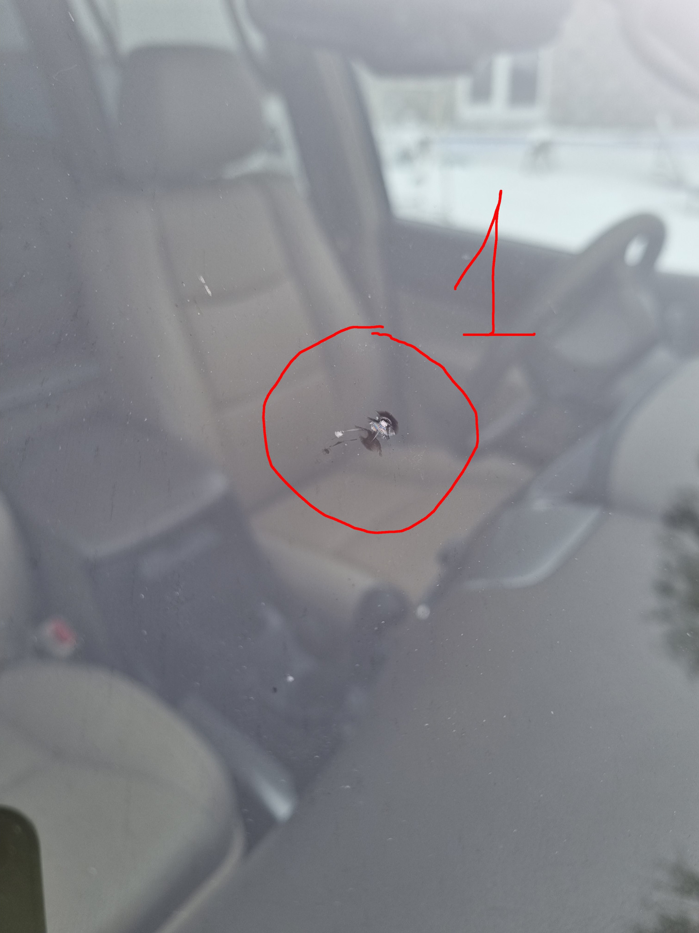 Удаление сколов на лобовом стекле. — Toyota Land Cruiser Prado 120 ...