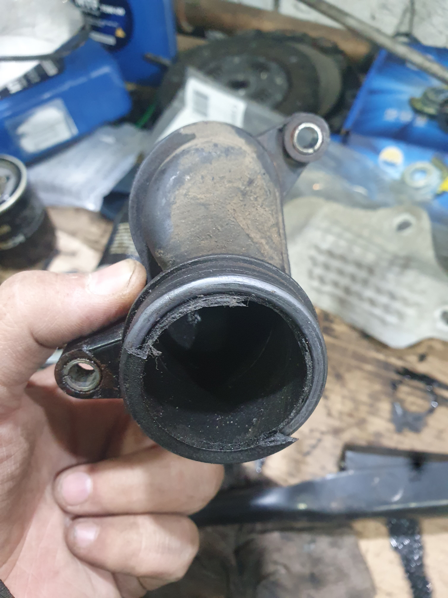 Жёваный крот… или как поменять патрубок ОЖ — Land Rover Discovery III ...