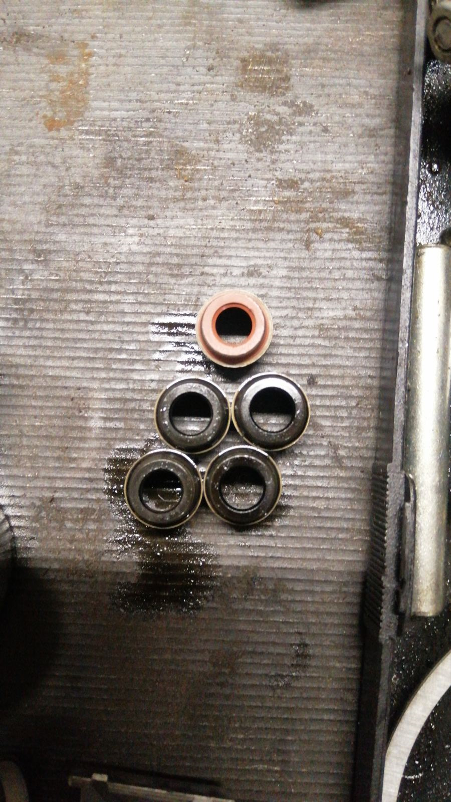 Замена гидриков, вкладышей и сальников клапанов — Skoda Fabia Mk1, 1,9 ...