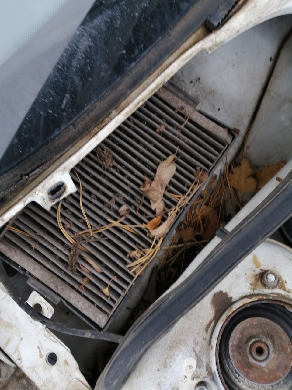 Покрасить потолок в ниве - 98 фото