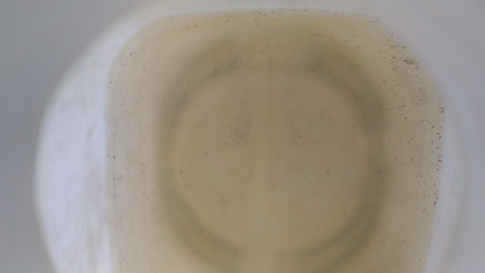 Не совсем грязная, но частицы ржавчины или еще какой-то хрени плавают после промывки. — Volkswagen Jetta VI