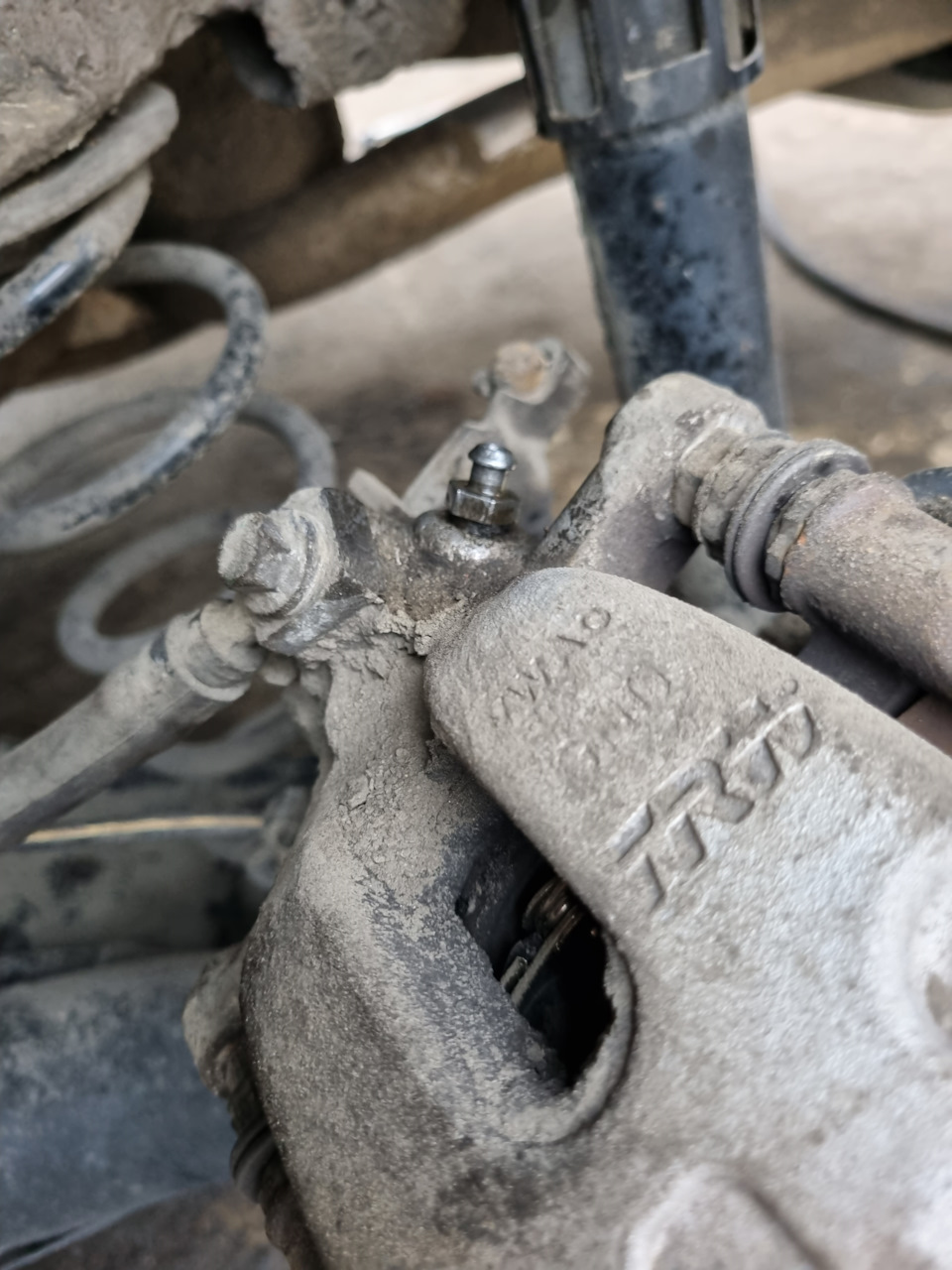 Фото в бортжурнале Skoda Octavia A7 Mk3