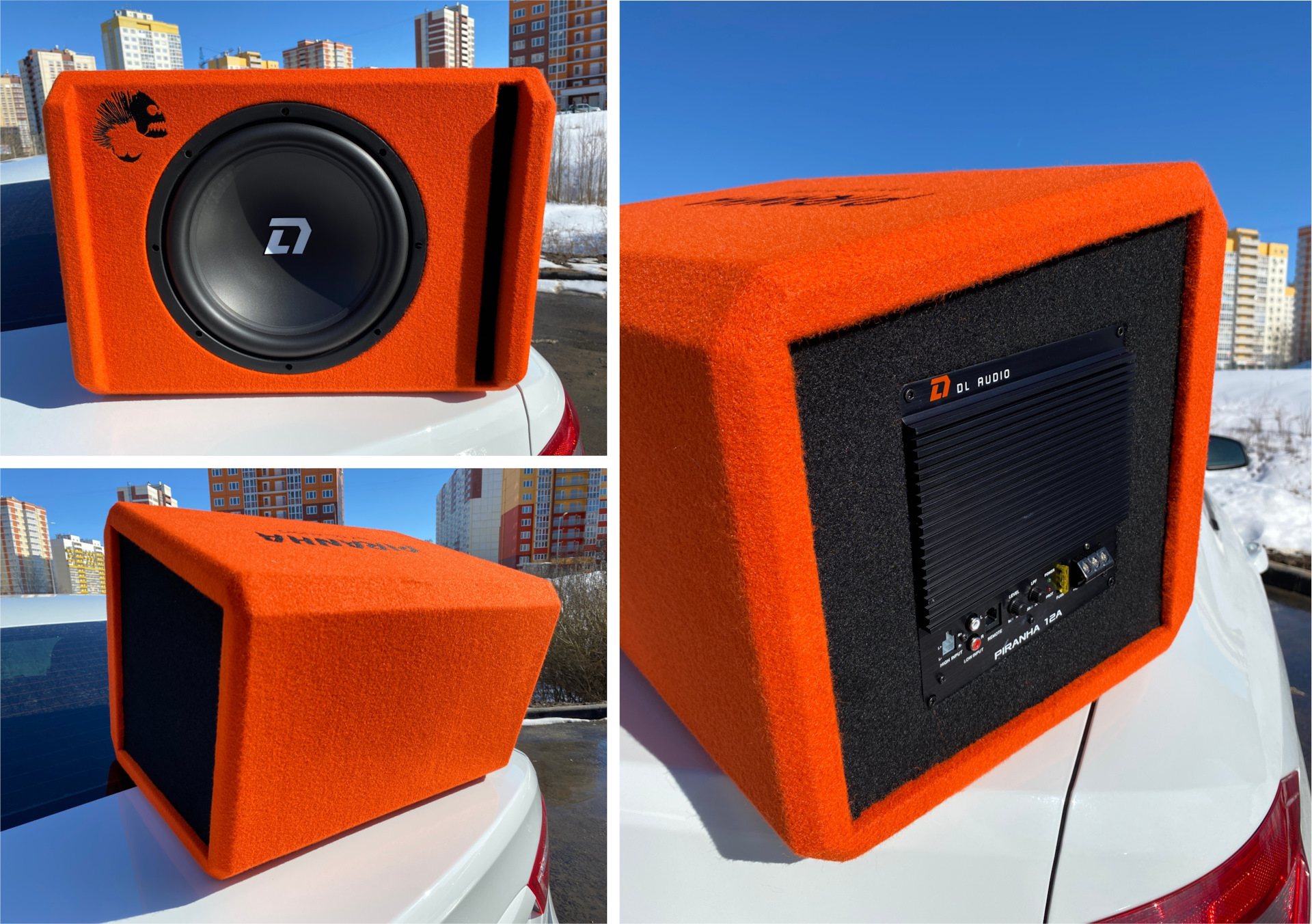 Audio barracuda. DL Audio Barracuda 12a Flat. DL Audio Barracuda 12a Flat в машине. DL Barracuda 12a Orange для фотошопа.