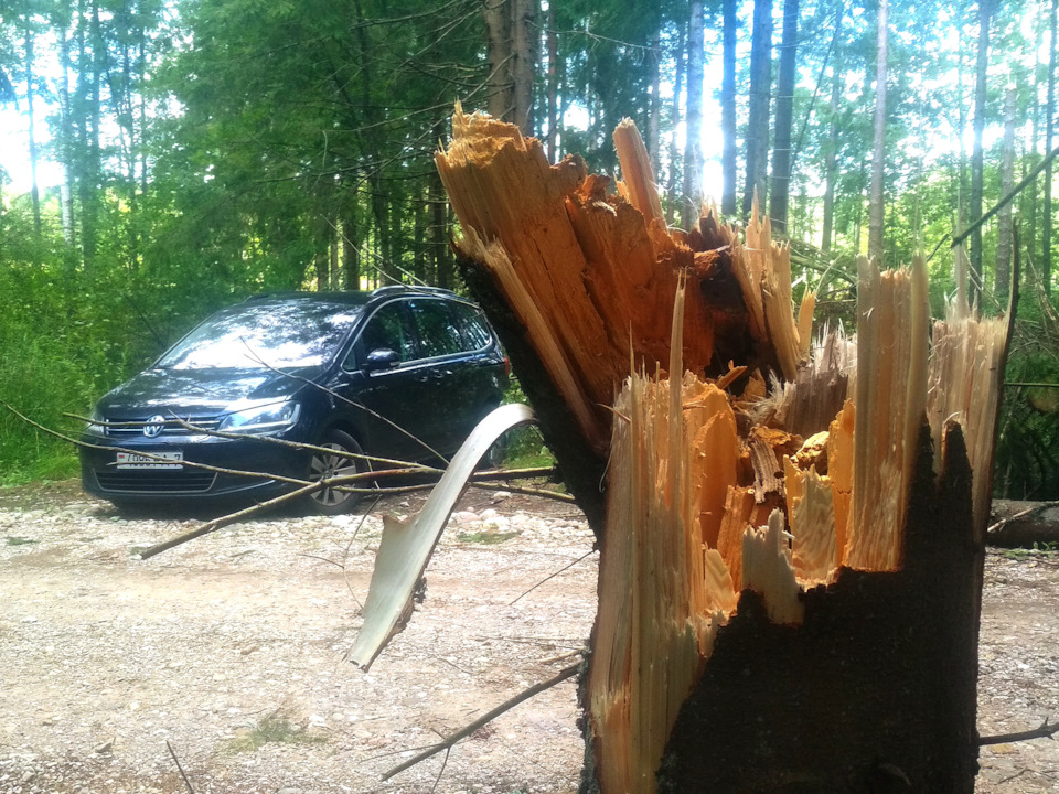 Восемь лет во вторых руках — Volkswagen Sharan (2G), 2 л, 2010 года ...