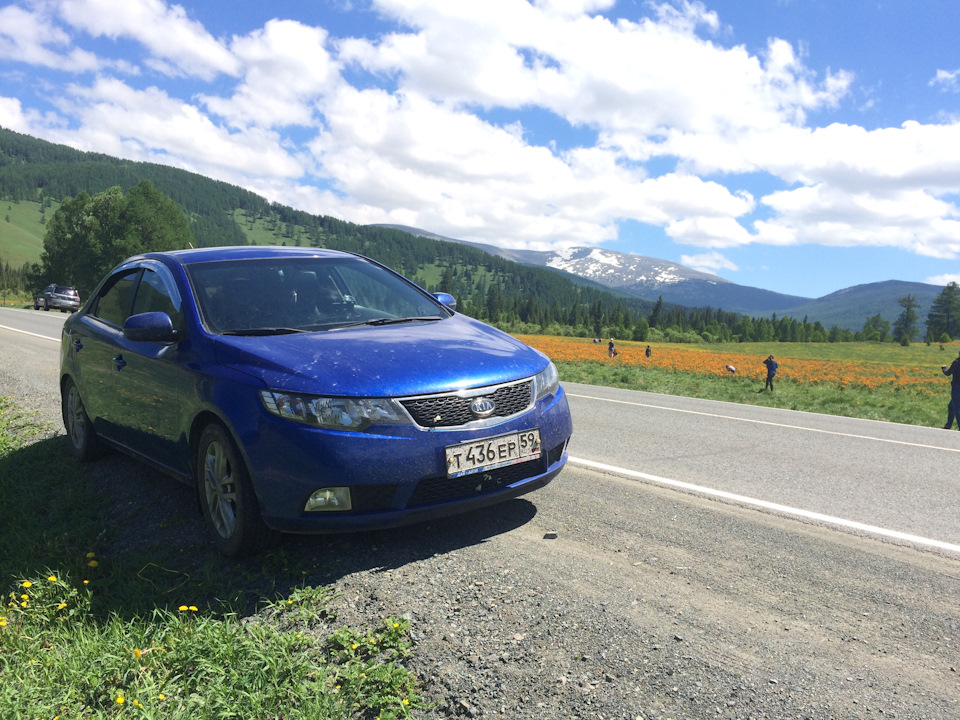 Как поменять сальник на гур на мерседес - 84 фото
