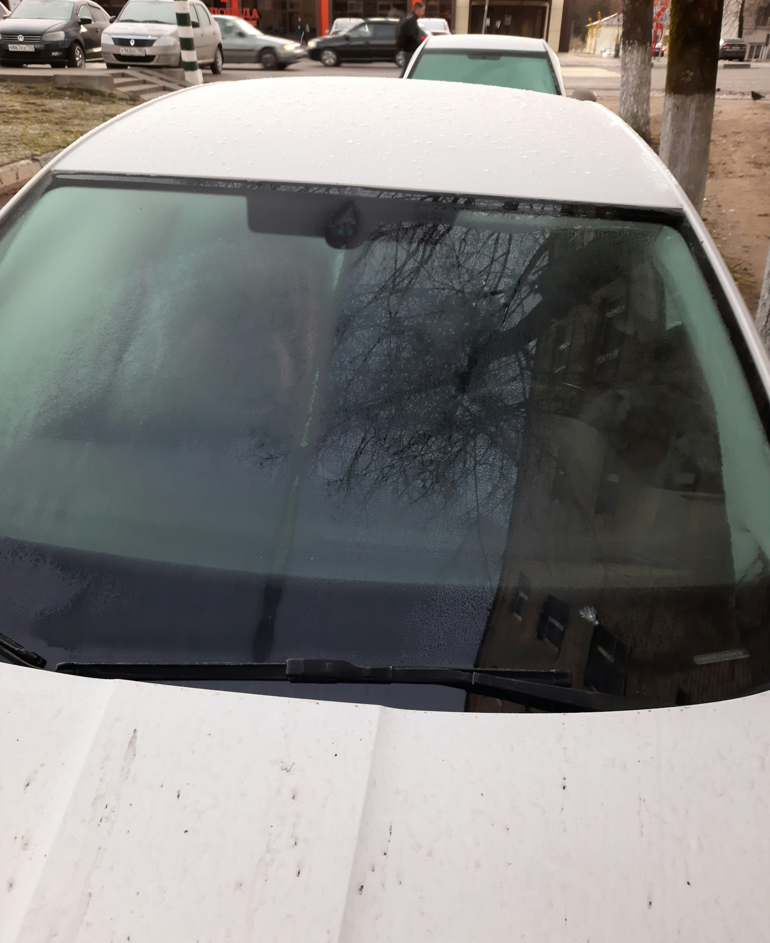 Повреждение лобового стекла с обогревом — Skoda Octavia A7 Mk3, 1,2 л ...