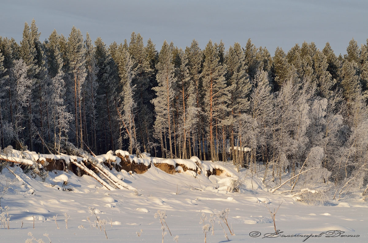 погода в долгощелье метео