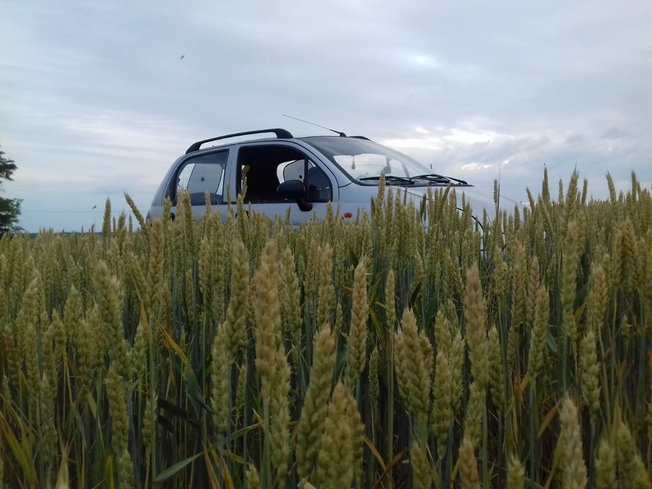 Subaru Alcyone XT 2.0 бензиновый 1988 | Синька на DRIVE2