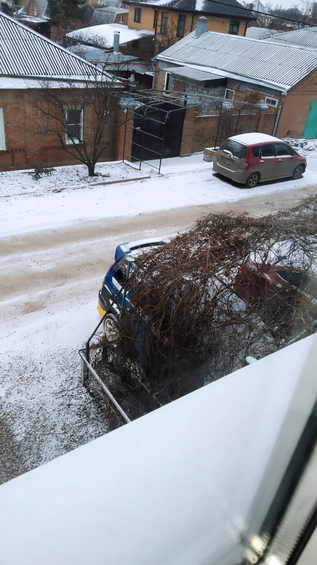 В Ростове на Дону снова пришла зима, вечером катка по любому. — Subaru ...