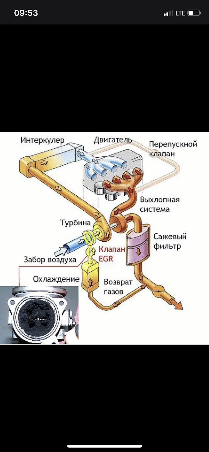 Все о EGR.Проблемы с тягой и прочее для TDI — DRIVE2