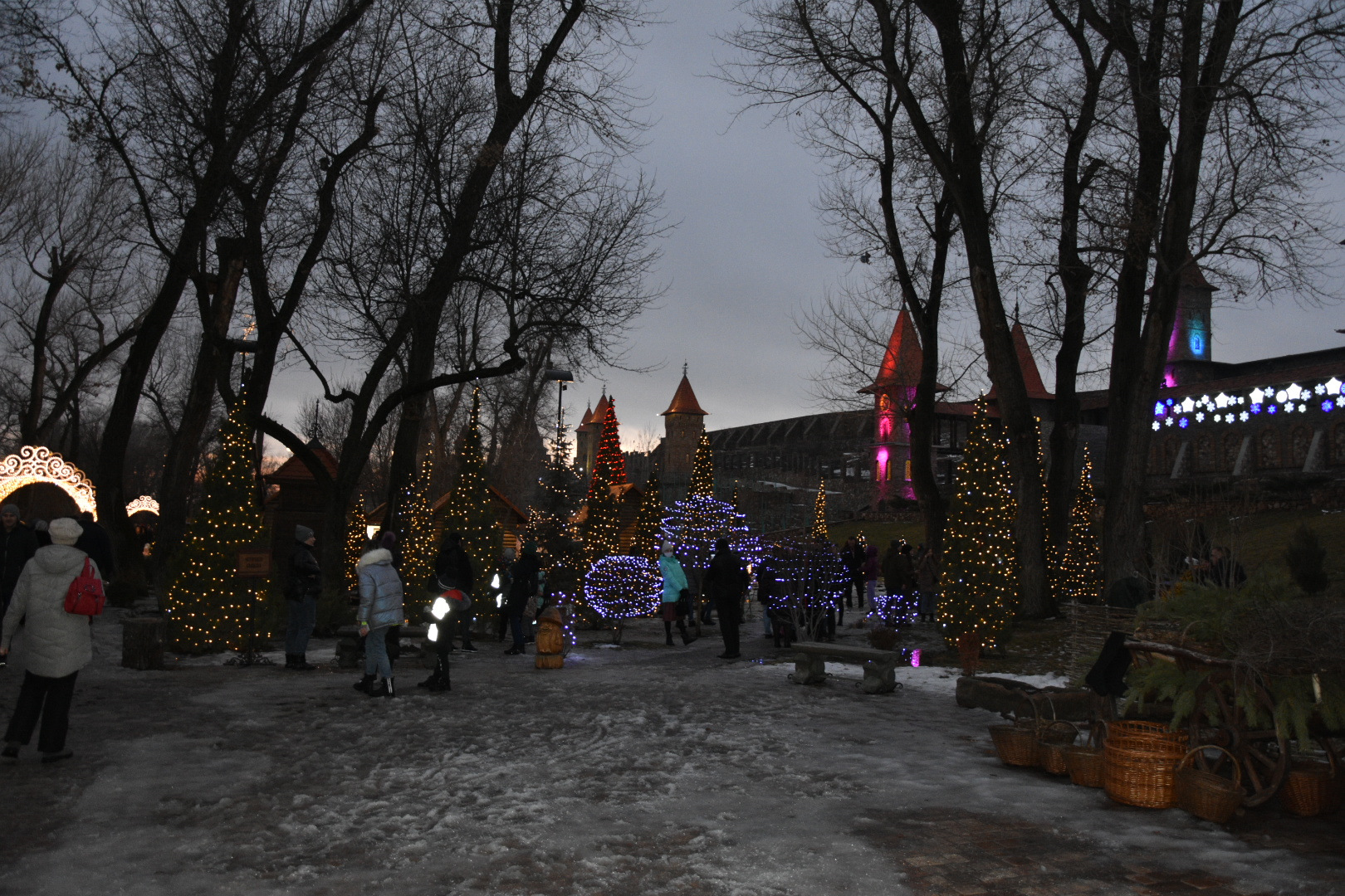 лога парк в ростовской обл зимой
