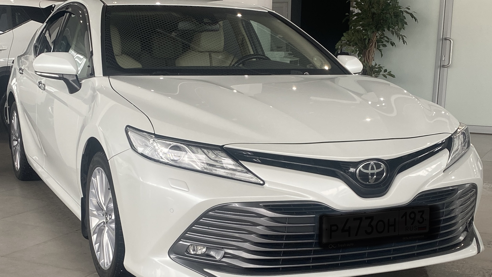 Toyota Camry (XV70) 2.5 бензиновый 2019 | на DRIVE2