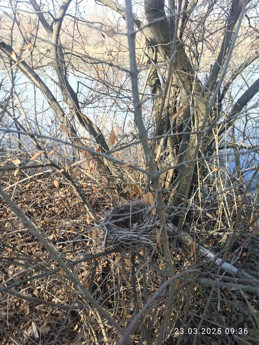 Фото в бортжурнале УАЗ Patriot