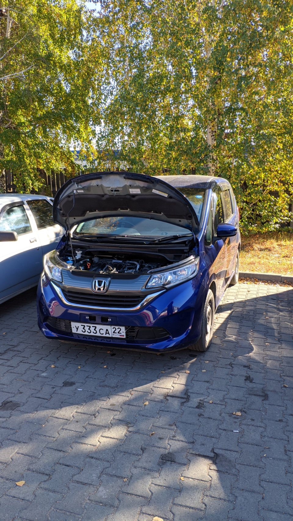 Постановка на учет и установка квадратных номеров — Honda Freed (2G), 1,5  л, 2019 года | другое | DRIVE2