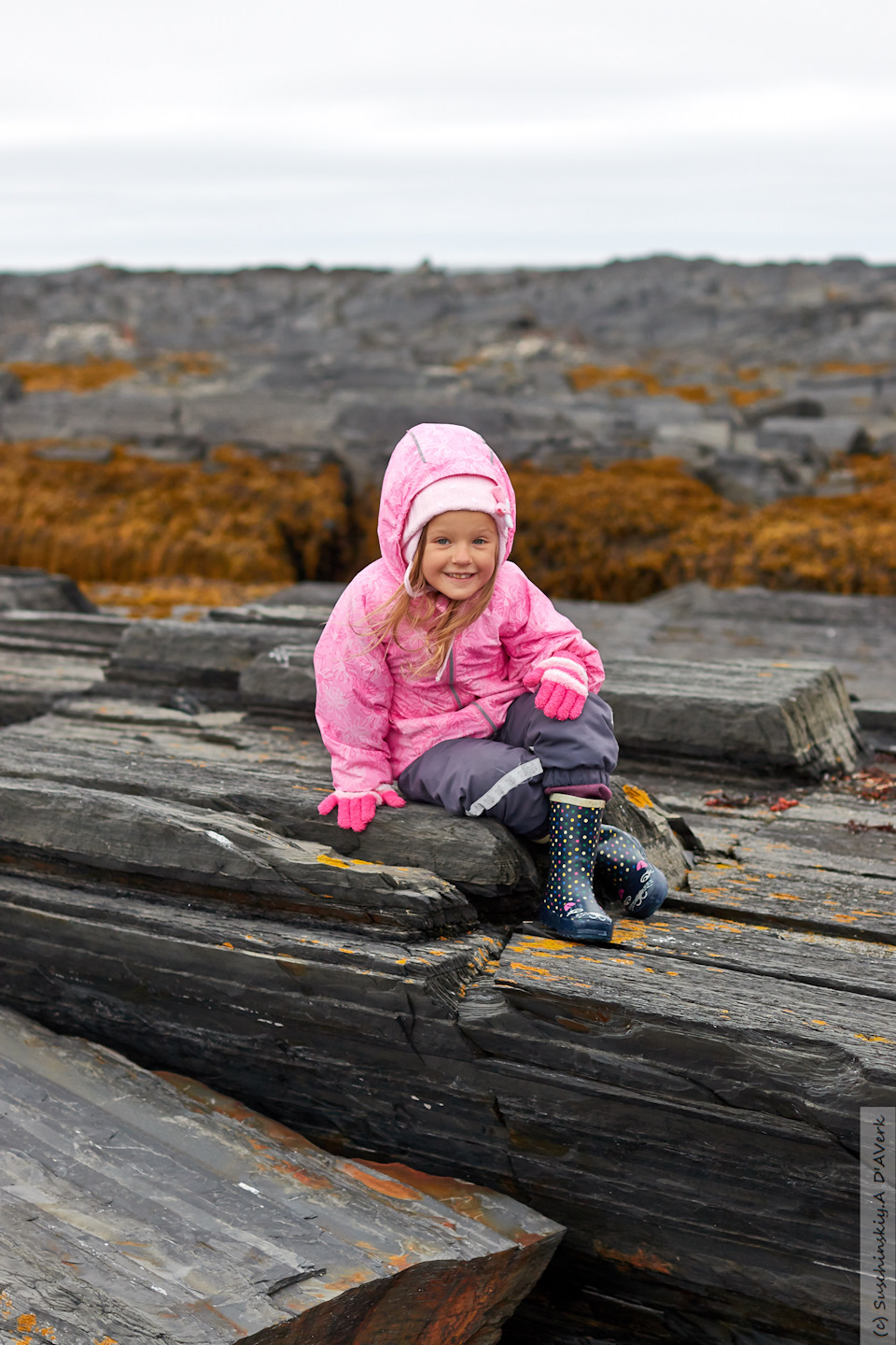 Фото в бортжурнале SsangYong Kyron