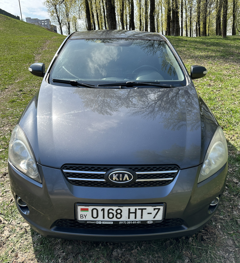 Продажа любимого авто в хорошие руки, подпись на НОВЫЙ! :) — KIA Pro_Ceed,  1,6 л, 2010 года | продажа машины | DRIVE2