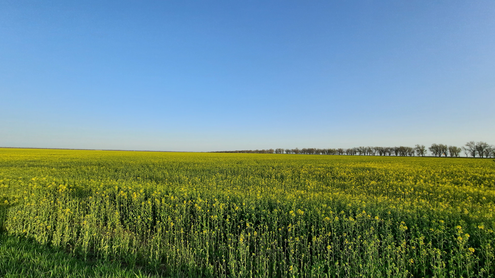 простор ставрополь