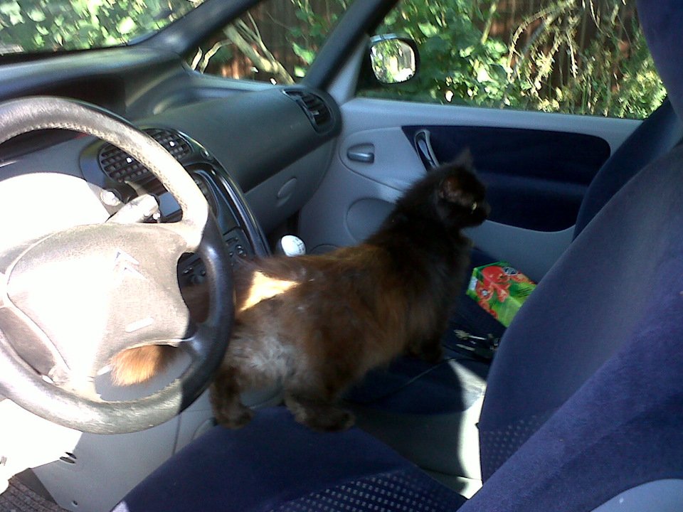 Скрип в передней подвеске volvo s80 - 80 фото