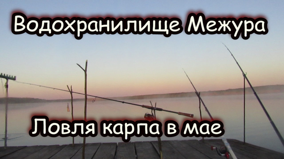 рыбхоз межура \\ ловля карпа — Сообщество «Охота и Рыбалка» на DRIVE2