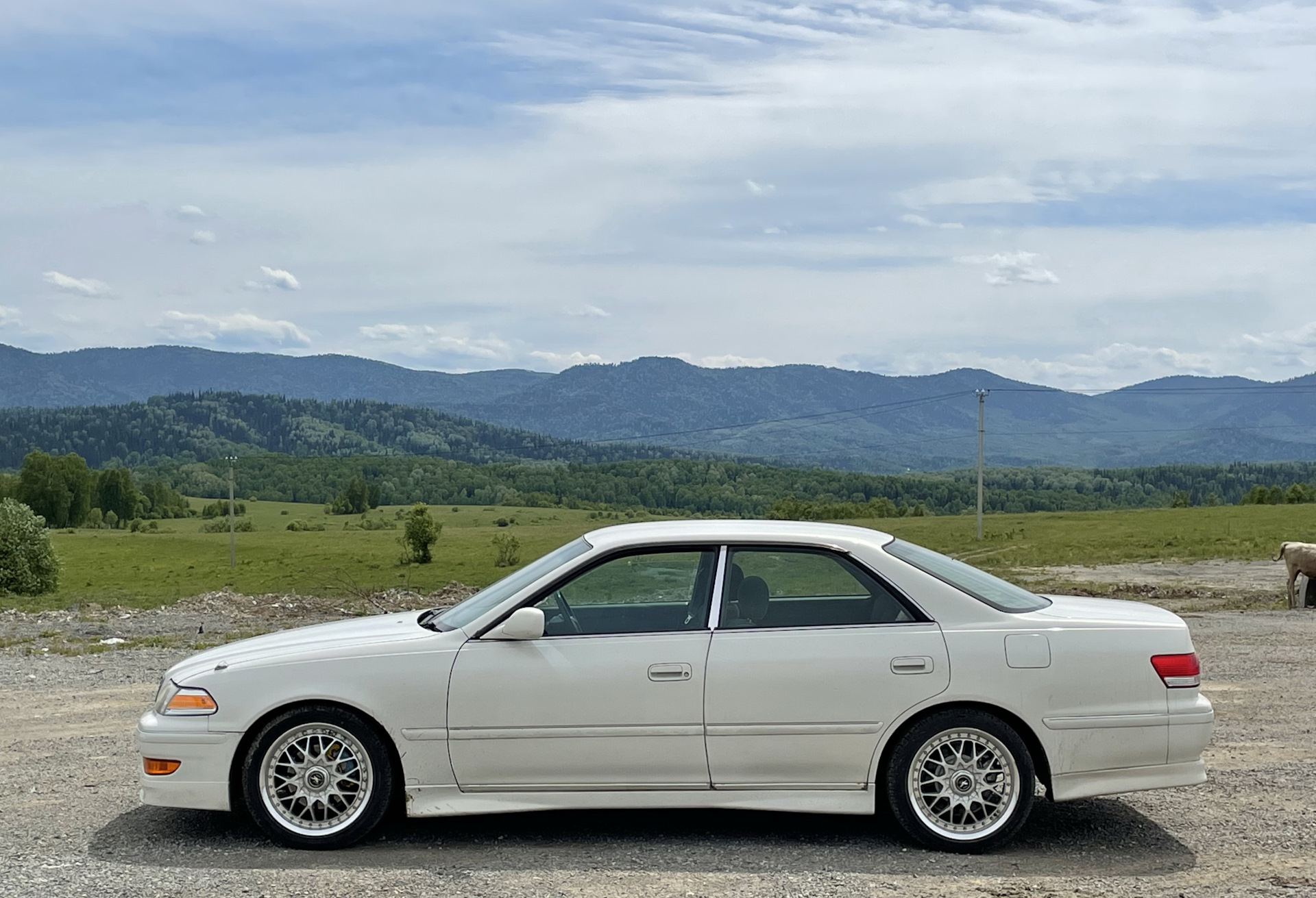 Алтай, озеро Телецкое. 2022 — Toyota Mark II (100), 2 л, 1999 года |  путешествие | DRIVE2