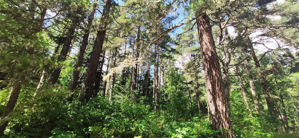 Фото в бортжурнале Haval H6 (1G)