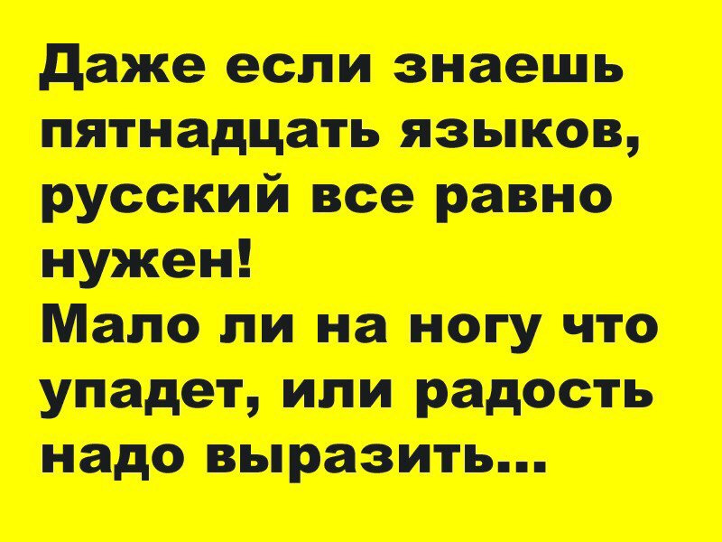 Смешные истории в картинках с надписями