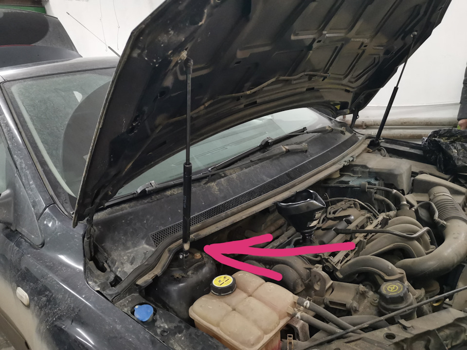 Фото в бортжурнале Ford Focus II Hatchback