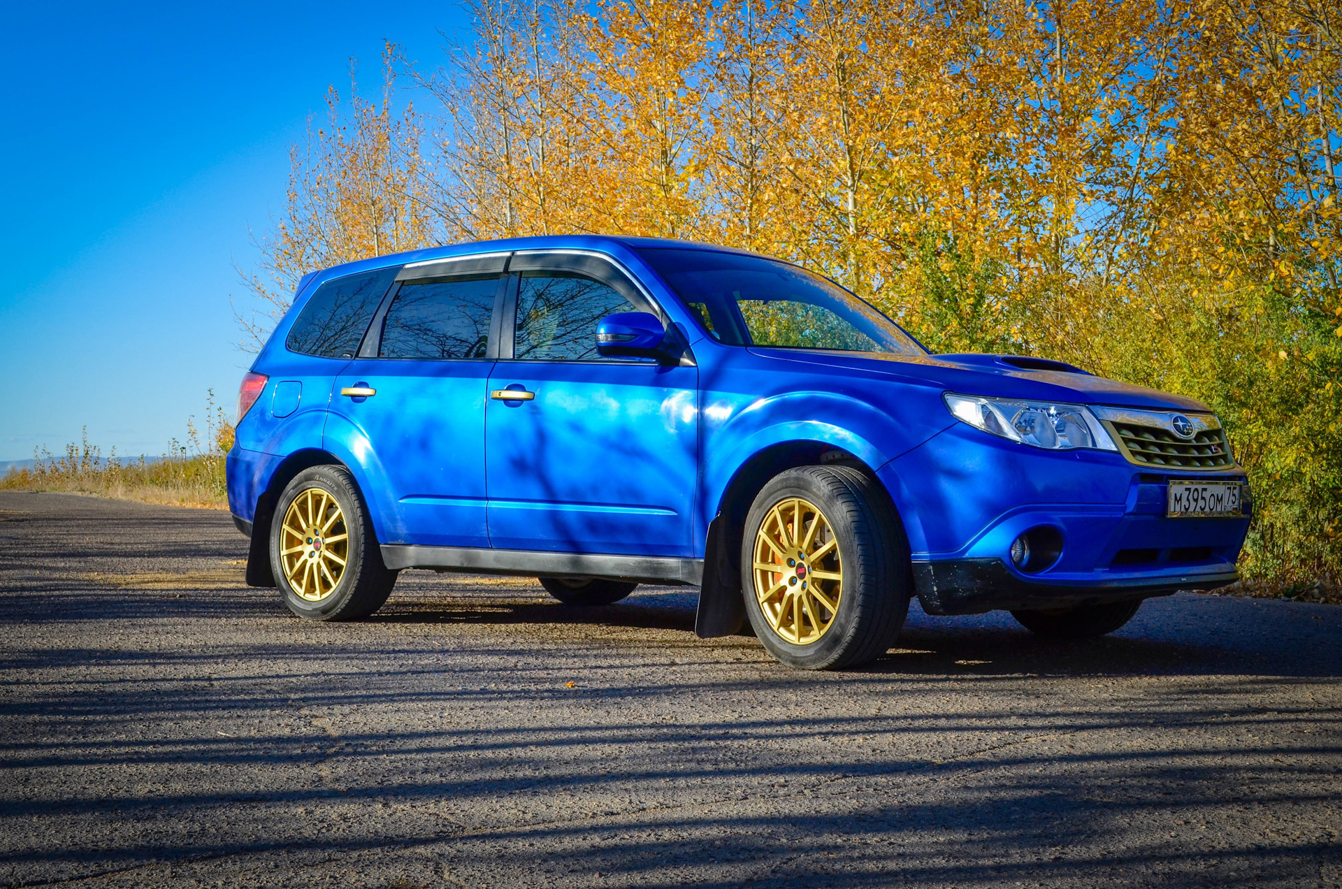 Субару форестер пермь. Субару Форестер sh. Субару Форестер TS. Forester sh TS. Subaru Forester sh9.