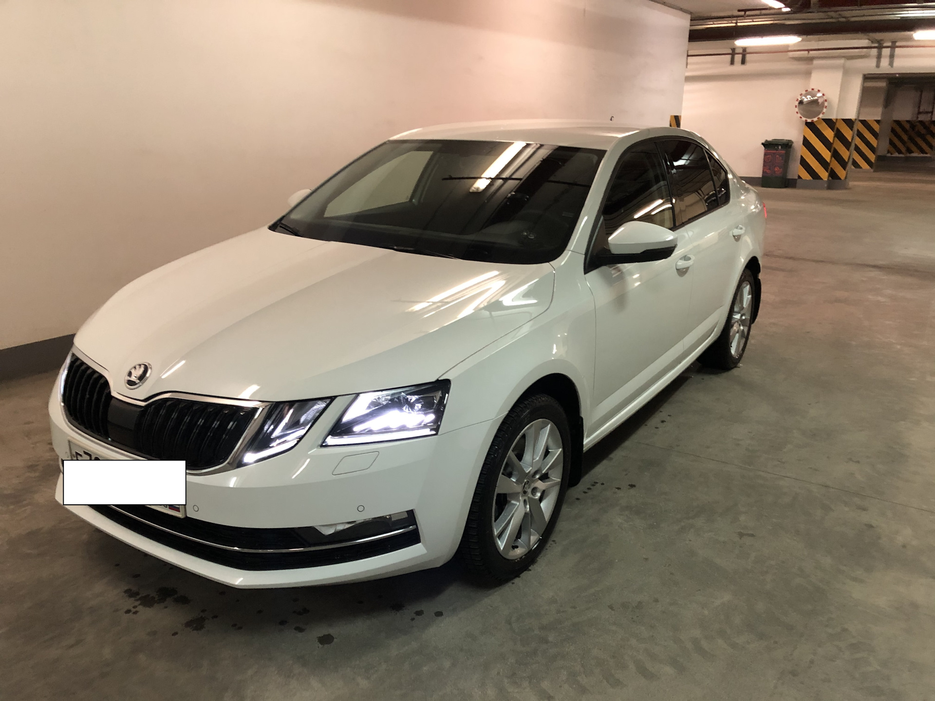 ТО1 и устарнили скрип в задней подвеске на лежачих — Skoda Octavia A7 Mk3,  1,8 л, 2018 года | плановое ТО | DRIVE2