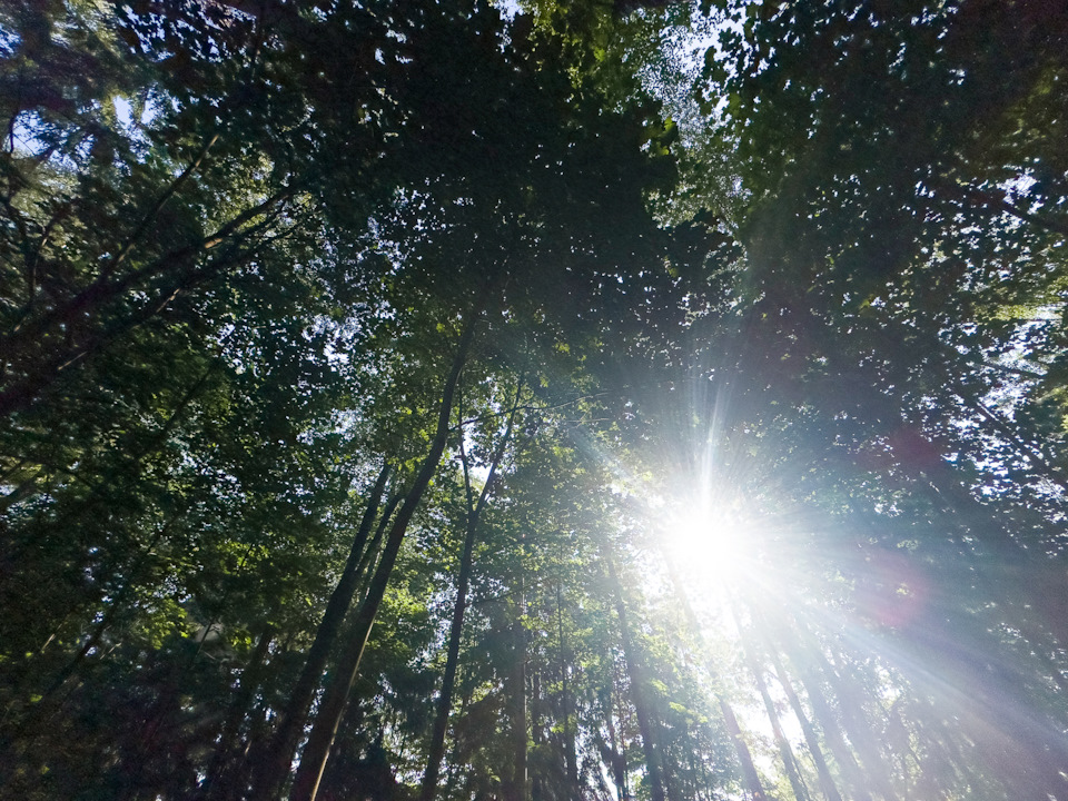 Кемпинг Истра — заезд №2 — DRIVE2