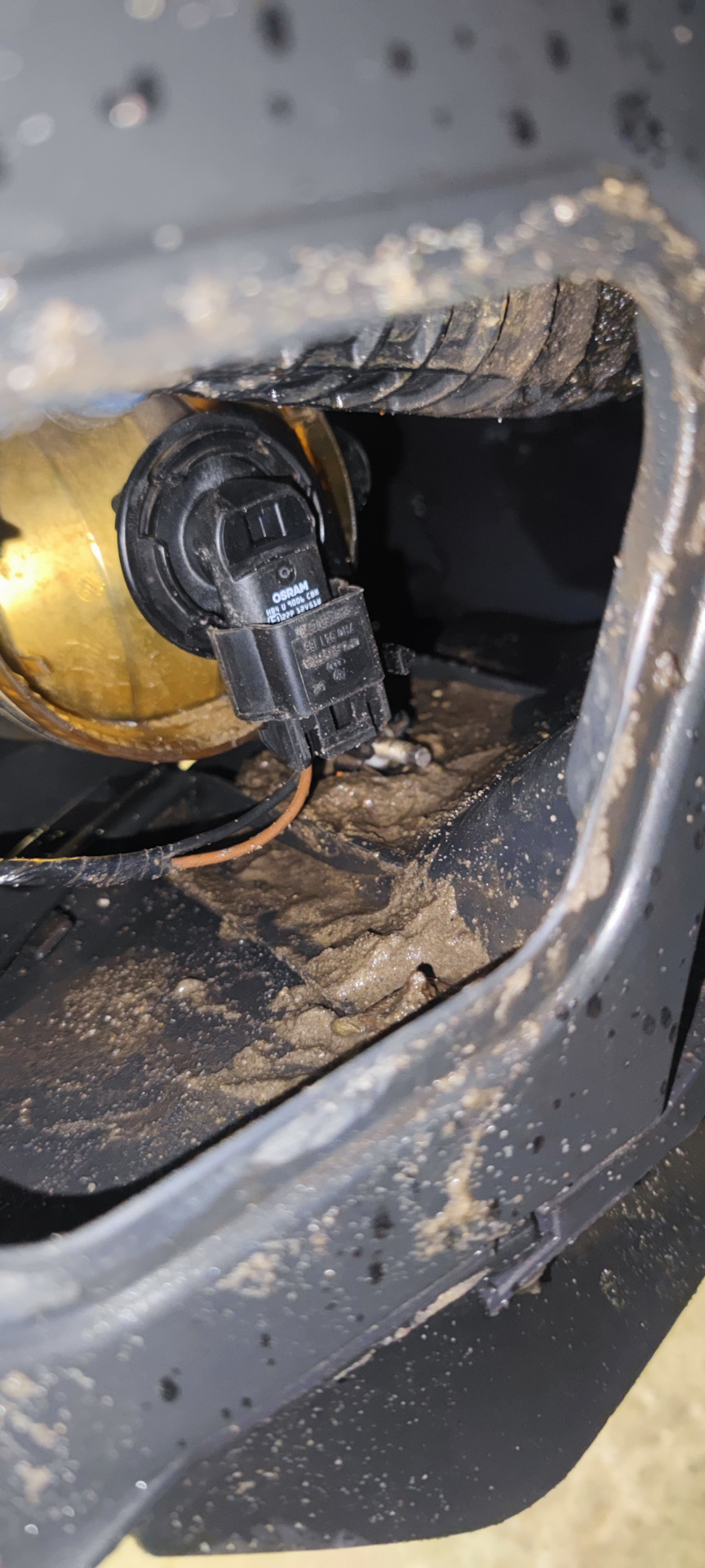 Замена лампы в противотуманных фарах. — Volkswagen Touareg (2G), 3 л ...