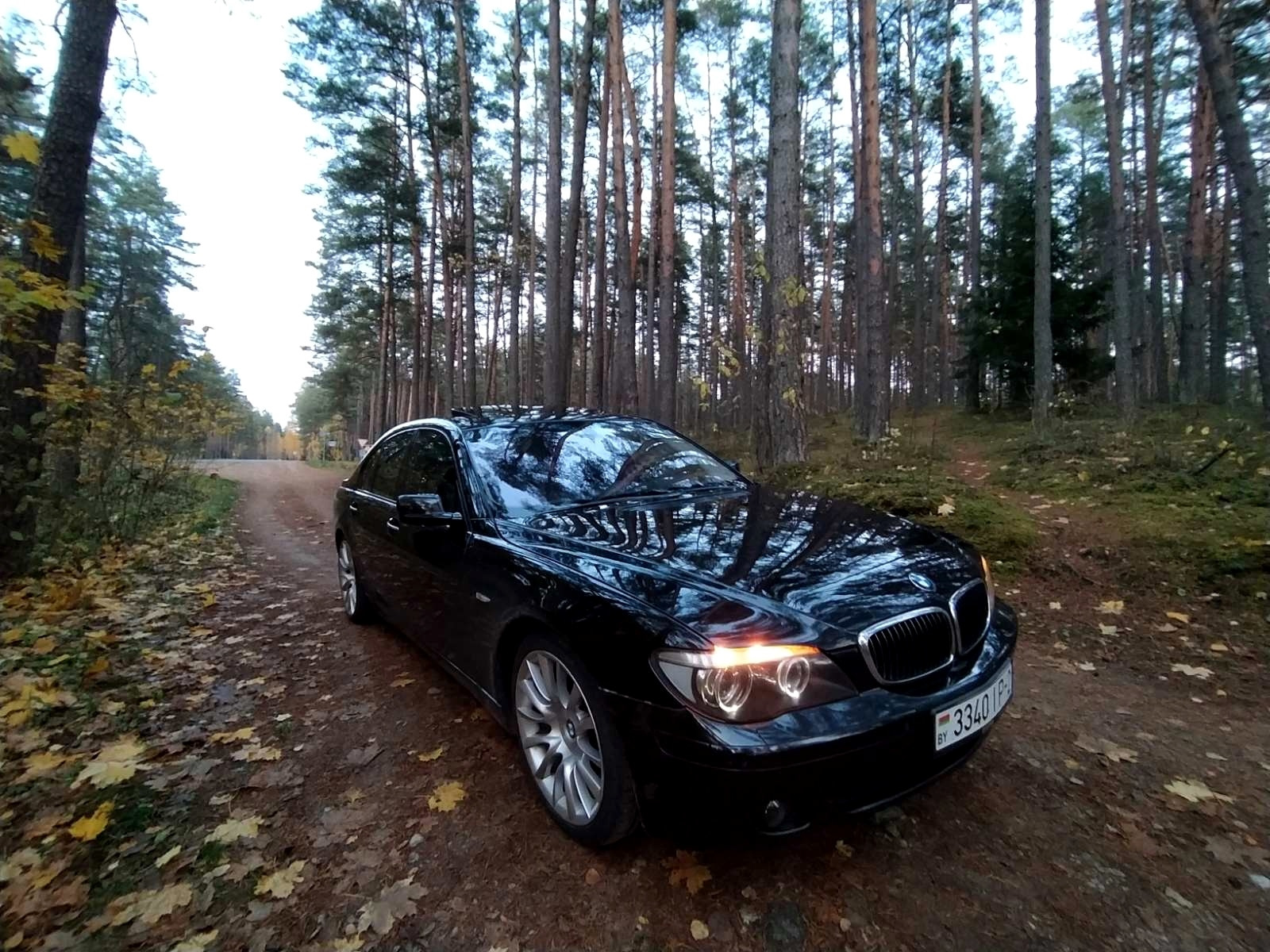 Где найти бмв