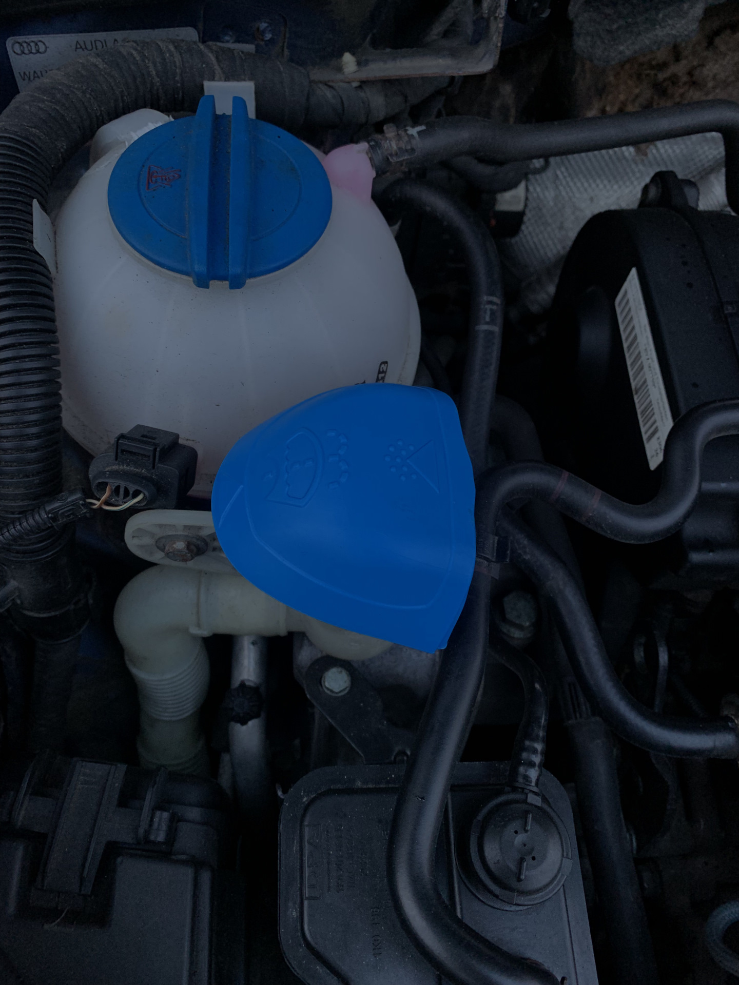Driver'S Nightmare: Audi A3 8P Oil Leak Story - qck5e4n