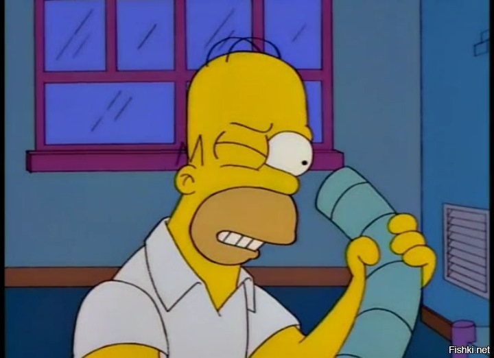 Homer simpson muschi