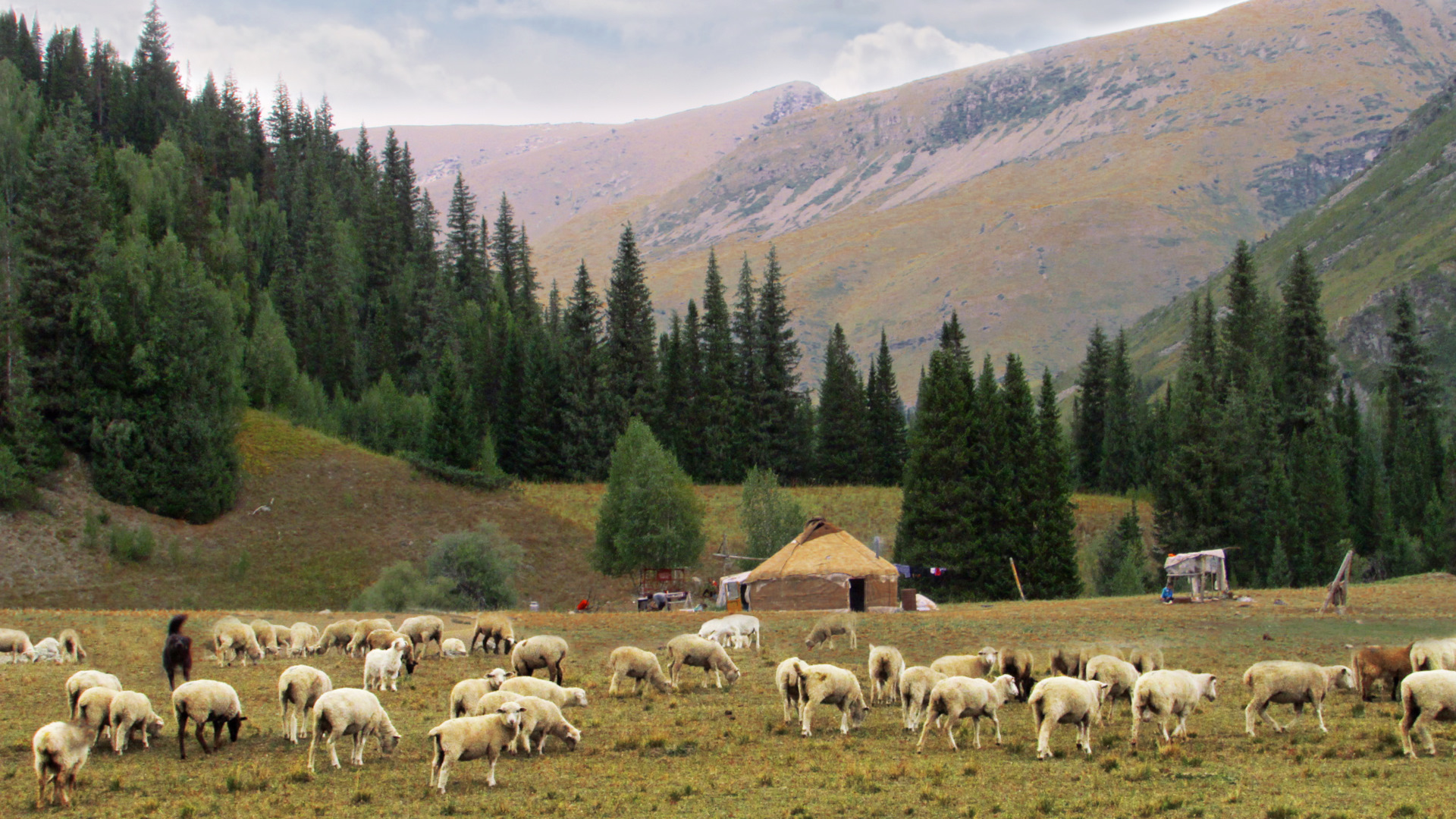 Красота природы казахстана фото