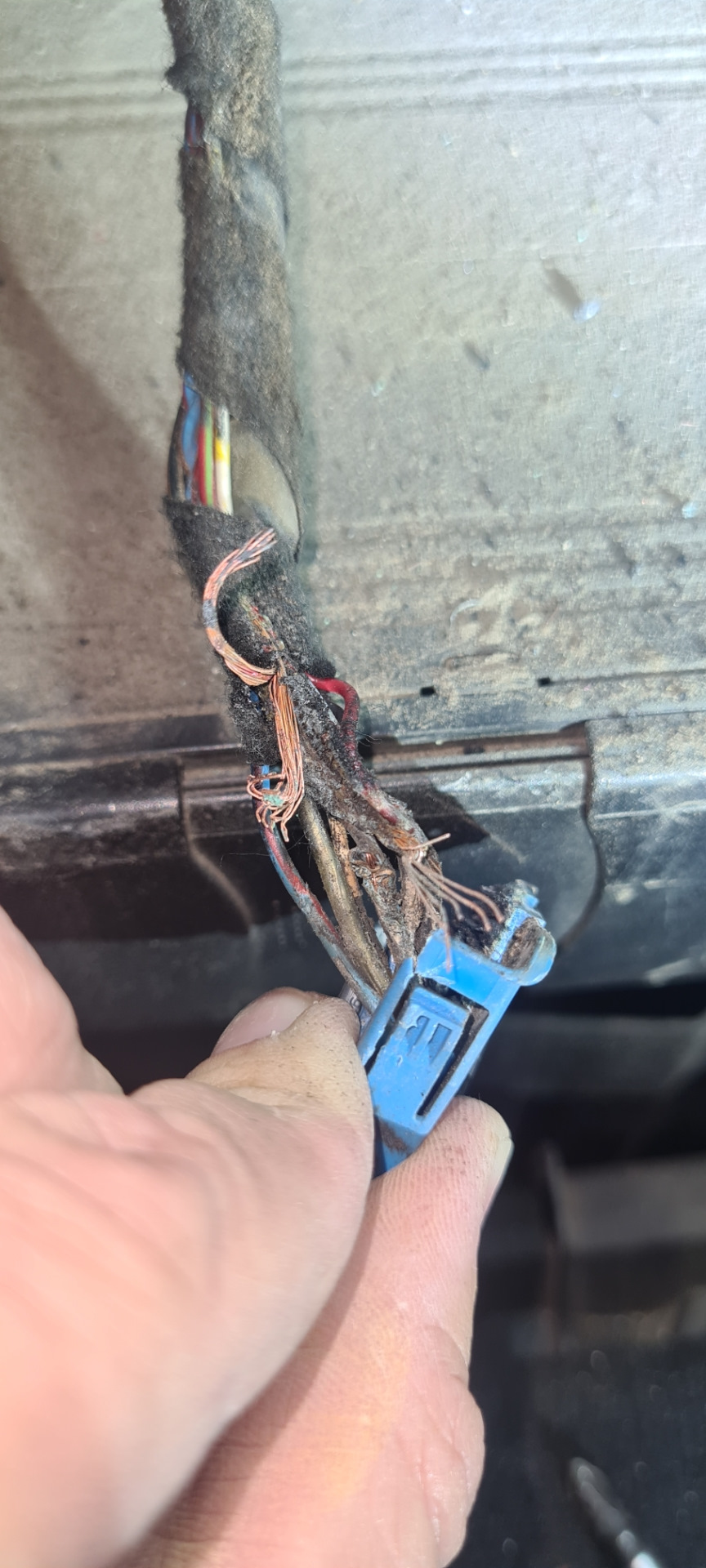 Модуль GPS АПАСНАСТЬ! — BMW X5 (E53), 3 л, 2002 года | поломка | DRIVE2