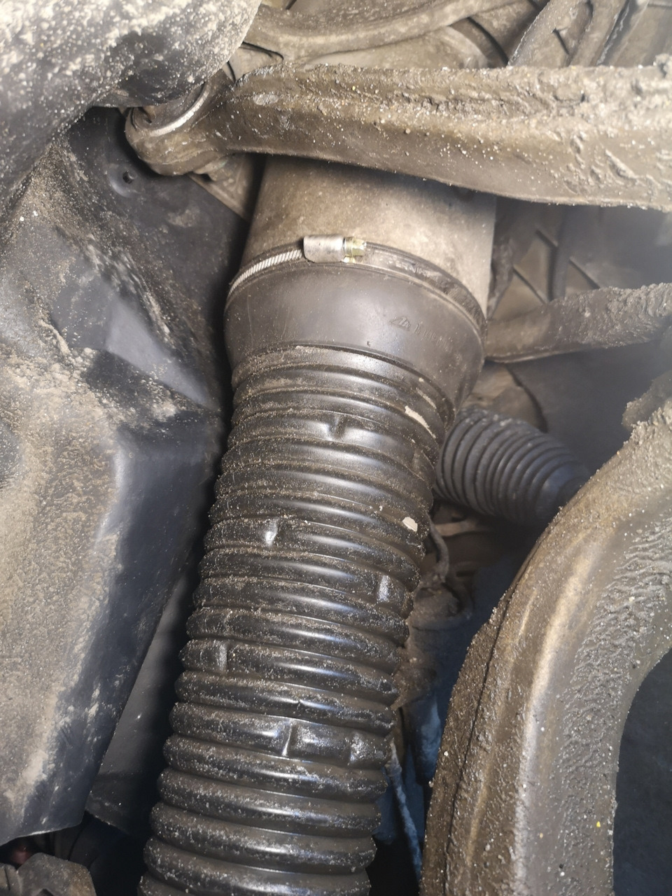 Хомут пыльника пневмостойки — Audi A8 (D3), 3,7 л, 2003 года | своими ...