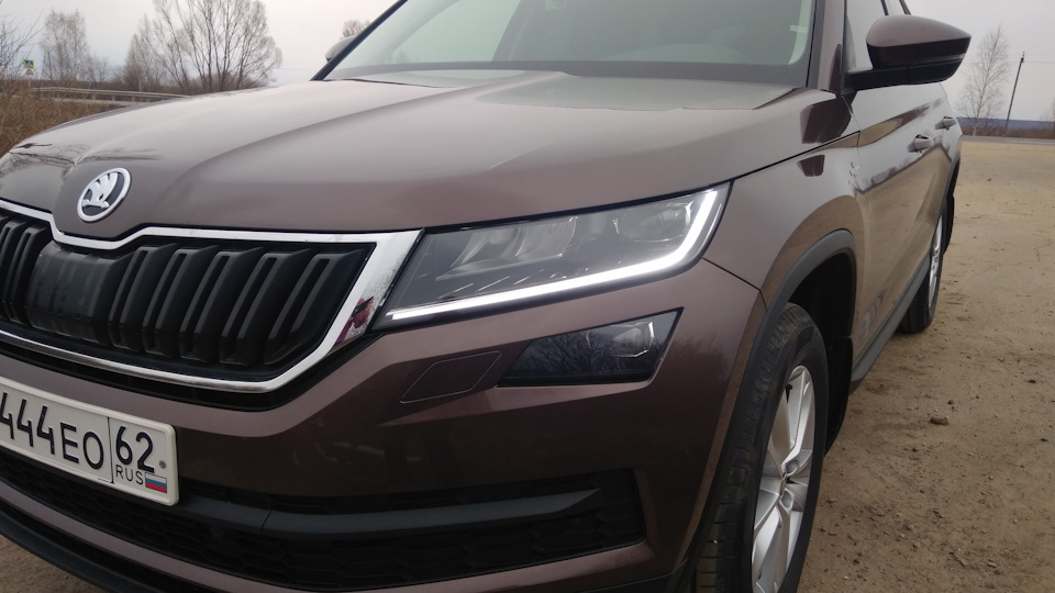 Skoda Kodiaq Медведь "ВОРЧУН"