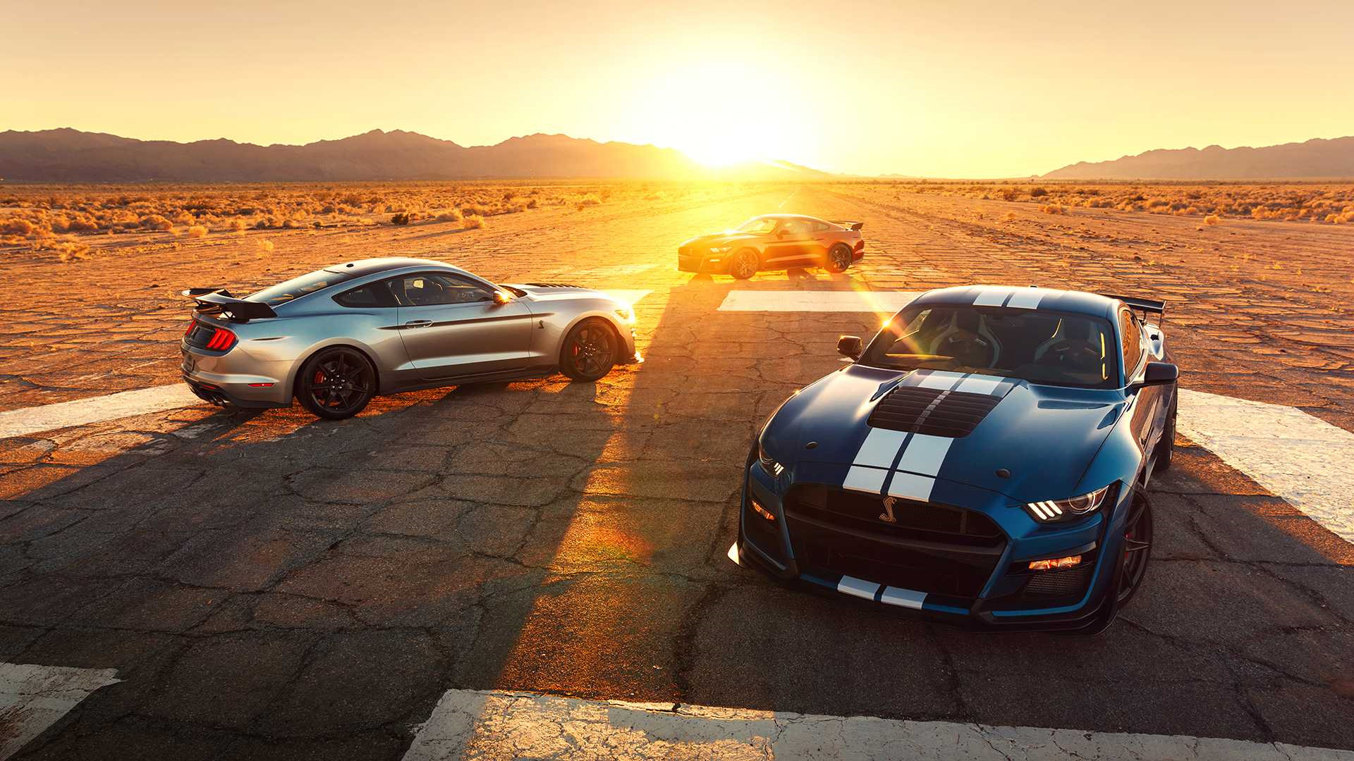 Shelby gt500 фото на рассвете