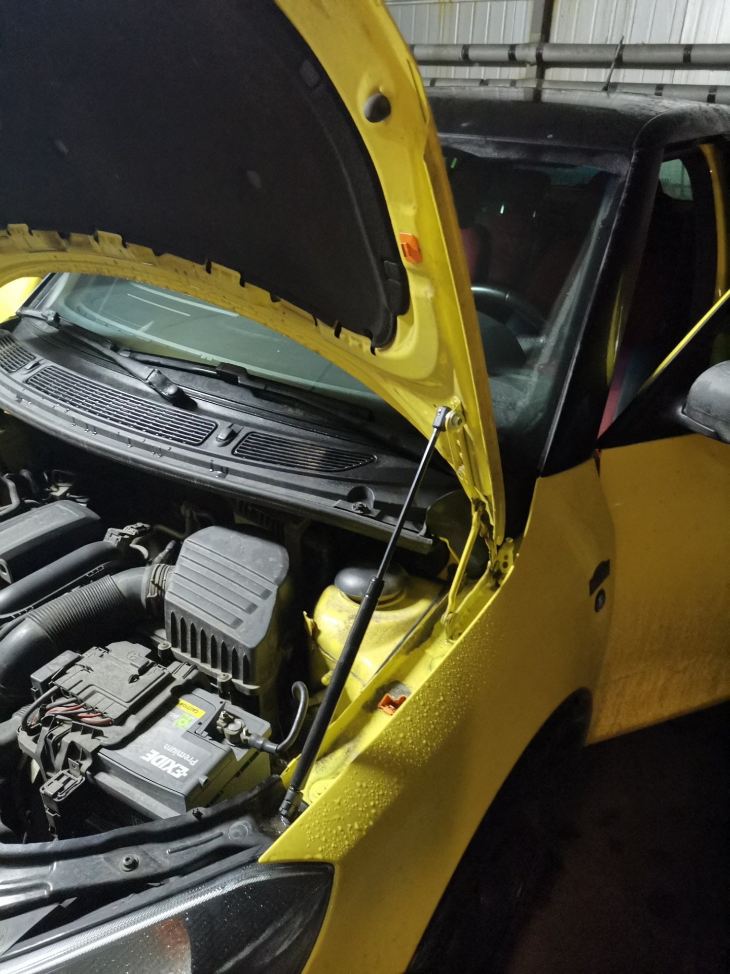 Упоротый капот — Skoda Fabia Monte Carlo, 1,2 л, 2012 года | аксессуары ...