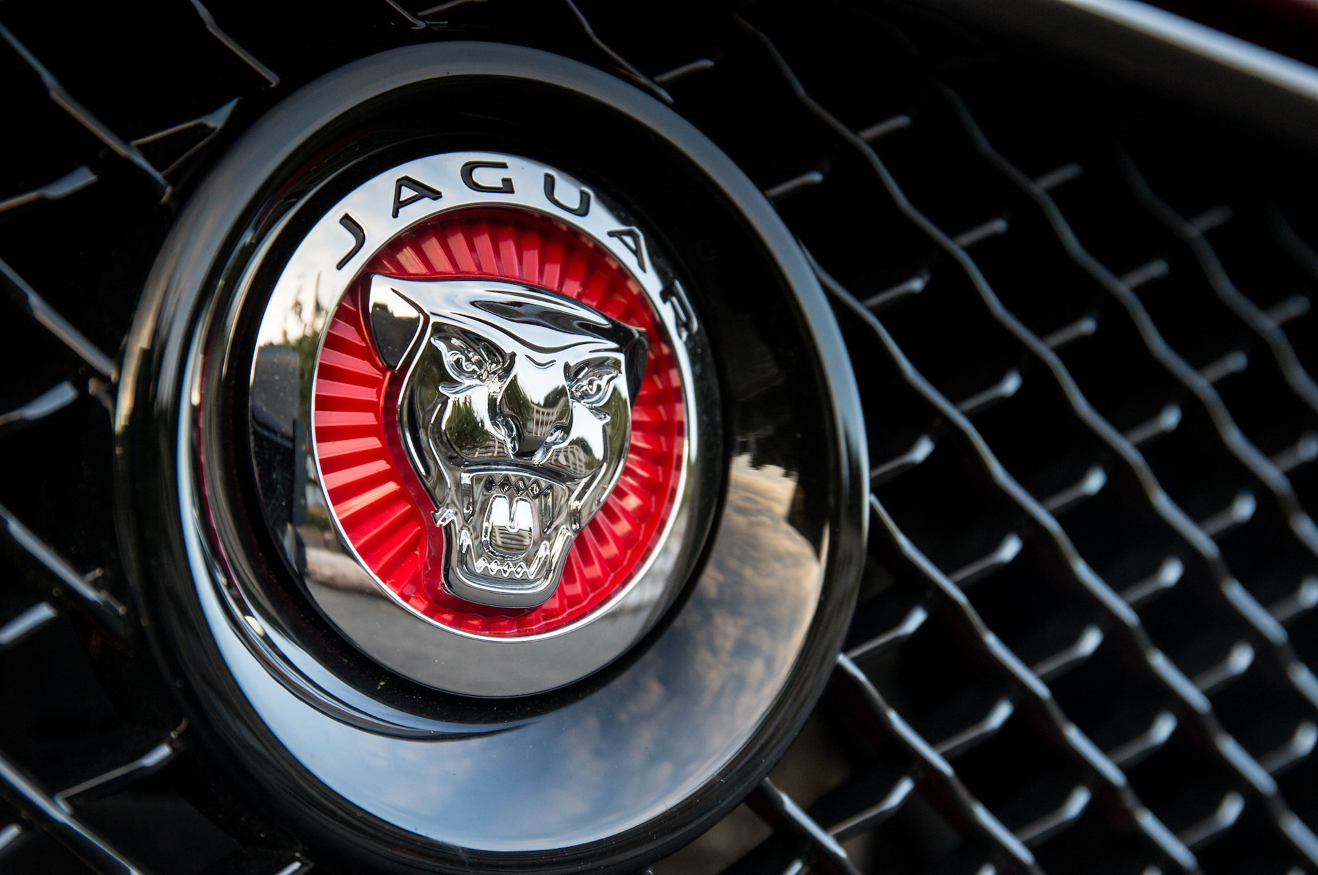 Авто со столичным знаком. Ягуар марка автомобиля. Авто эмблема yaguar. Марка машины с львом на эмблеме. Знак в машину.